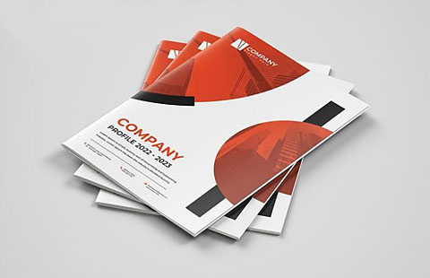 企业人物杂志案例002