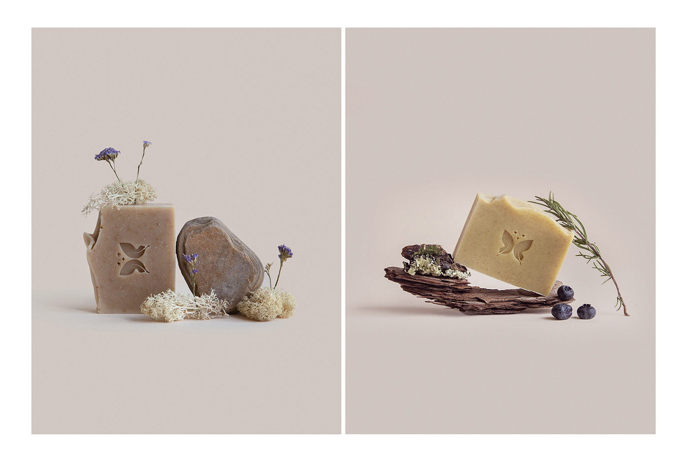 能让人想起传统的植物学书籍的护肤品包装设计(图10)