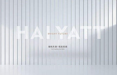 海悦东晟轻奢品牌案例