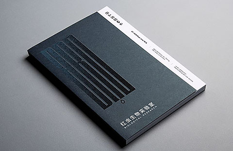 生物实验室画册