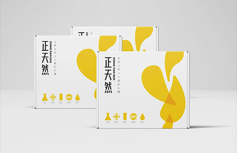 保健品品牌VIS设计案例