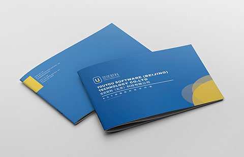 软件开发公司画册案例