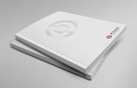 中银保险画册案例