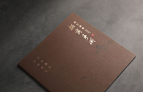 旅游招商手册设计